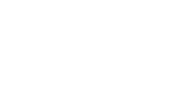 ELVY Logo